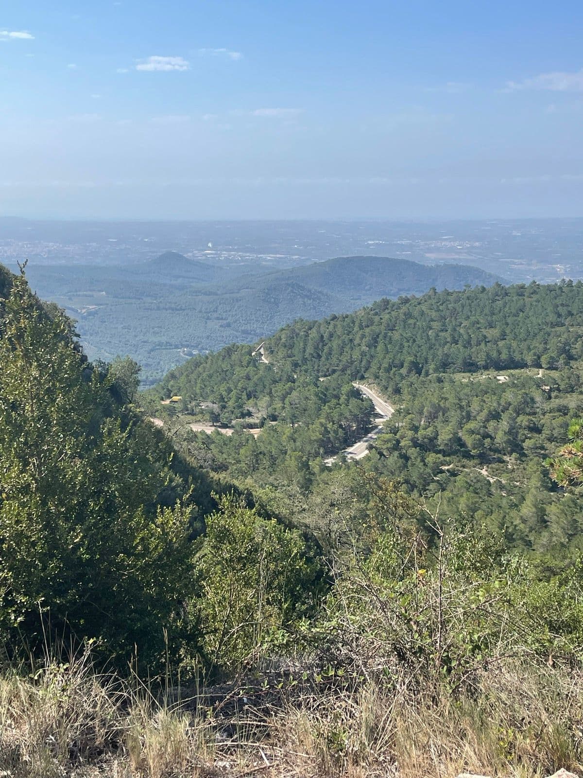 Mussara Loop