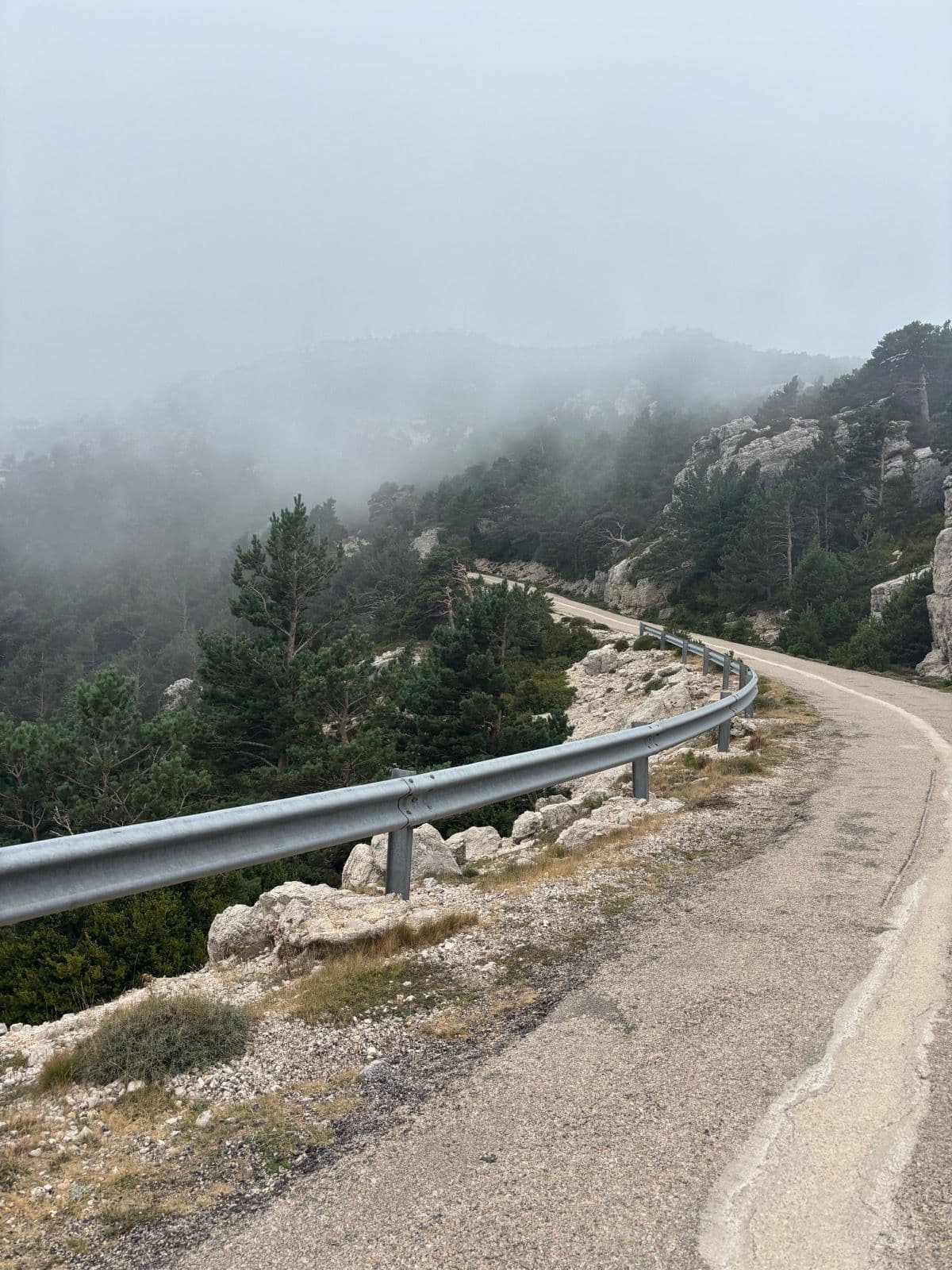 mont-caro_2.jpg