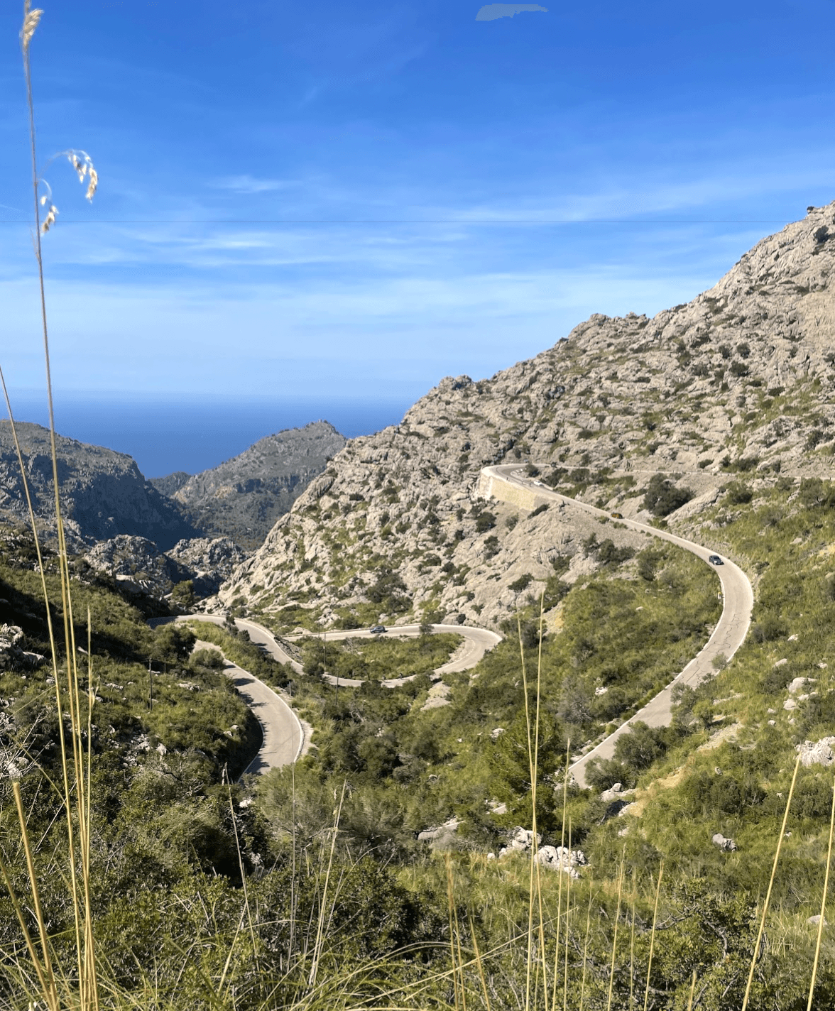 mallorcaSaYcap4