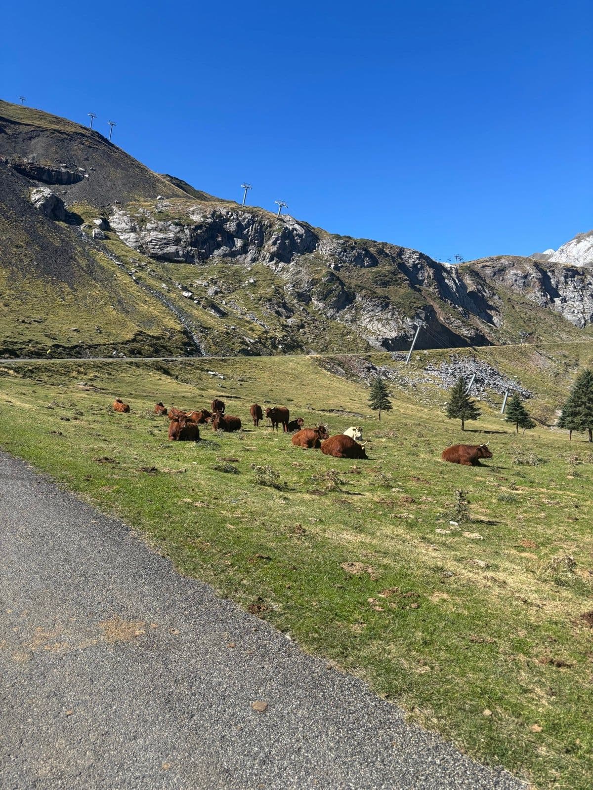 Coll de Tentes